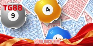 Rồng bạch kim